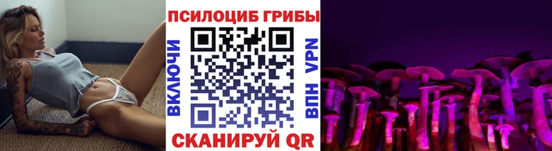 МЕГА ссылки Каменск-Уральский Псилоцибиновые грибы Psilocybine cubensis